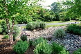Rain Garden