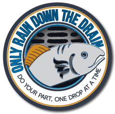 Rain Down Drain Image4