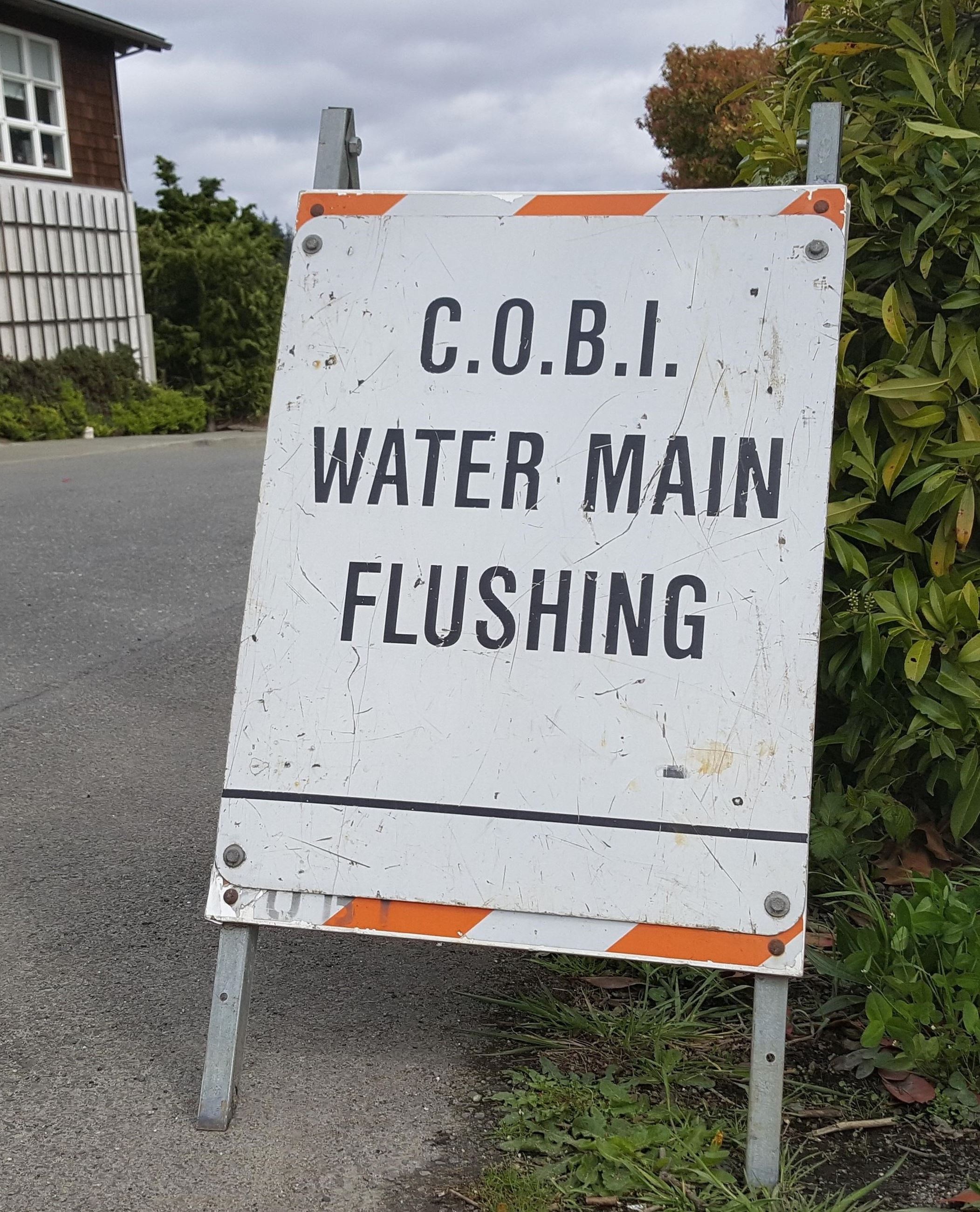 Water Main Flushing (4)