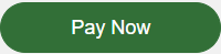 Pay Now Button
