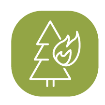 wildfire icon
