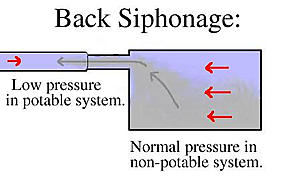 Back Siphonage Graphic
